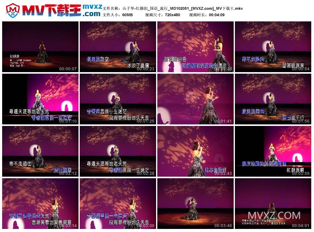 山子华-红颜泪_国语_流行_MD102051